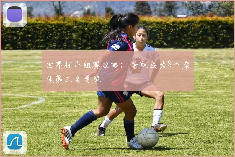 世界杯小组赛攻略：争取成为8个最佳第三名晋级